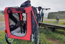 GOFI wird Mountainbiker