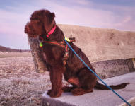 Es gibt immer etwas zu sehen!