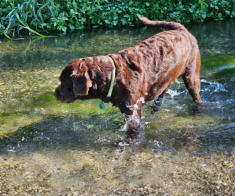 Kleine Abkühlung im Sommer 2024